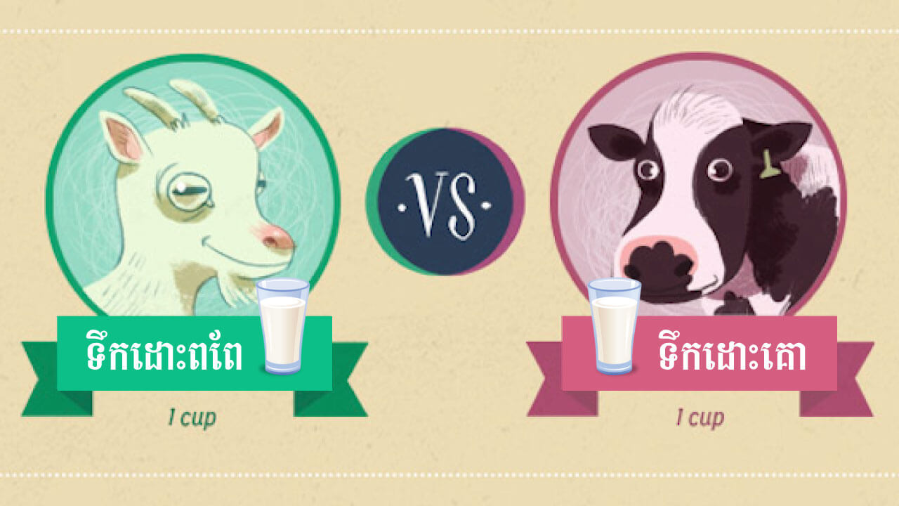 Goat's Milk and Cow's Milk What Are the Differences?