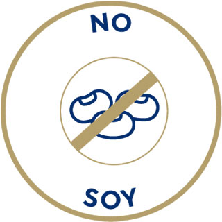 គ្មានគ្រឿងផ្សំពីសណ្តែកសៀង